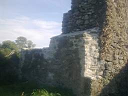 bellanamullia - 1321.jpg